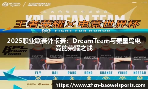 2025职业联赛外卡赛：DreamTeam与秦皇岛电竞的荣耀之战